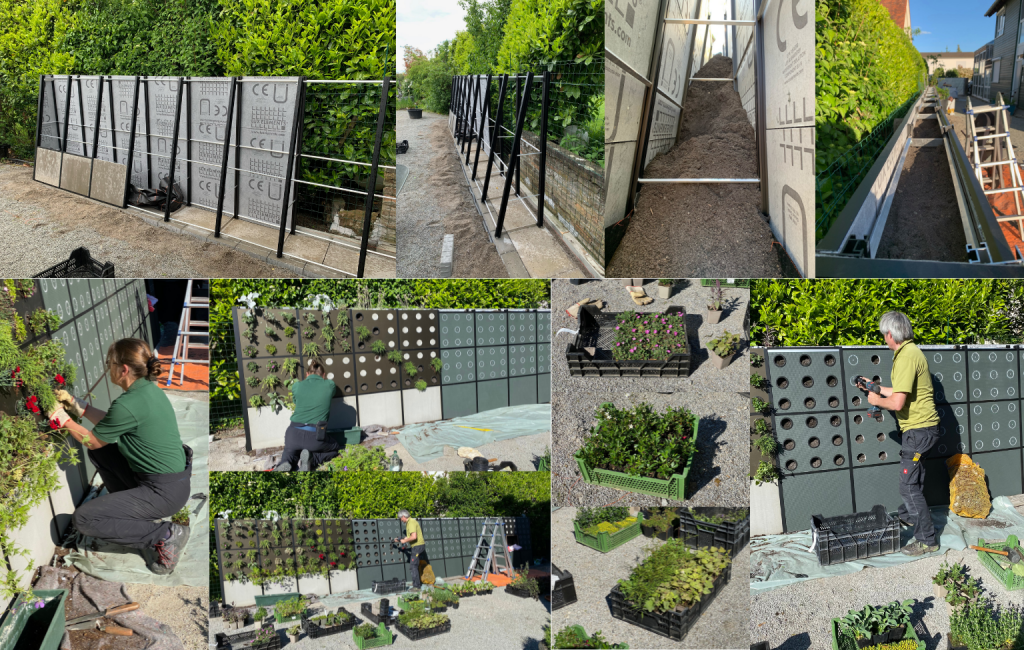 Vertikale Gärten und begrünte Fassaden - Löwenzahn Agentur