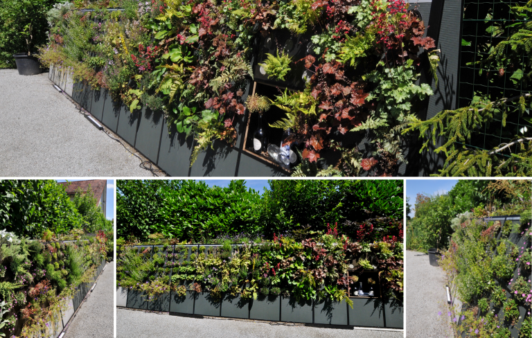 Vertikale Gärten und begrünte Fassaden - Löwenzahn Agentur